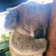 abbc的个人资料头像