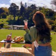 铁观音HH的个人资料头像