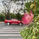 沙雕道路越走越远头像