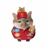 热心市民潘潘丶头像