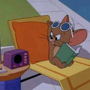 一股小飓风的个人资料头像