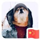 花海里的秋刀鱼的个人资料头像