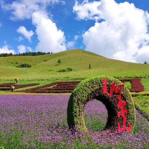 A+阿尔山旅游包车赵哥头像