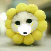 goudaner的个人资料头像