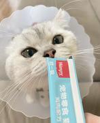 糖花卷儿的个人资料头像