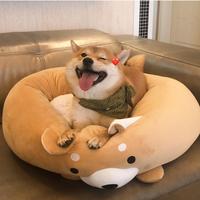 等一杯茶颜悦色头像