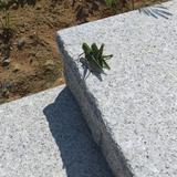 凸忝头像