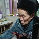 博学橙子75j头像