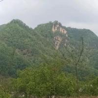 勇者宜州2F7头像