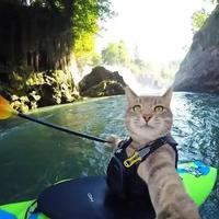 闲话老王蟒头像