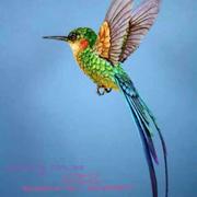 惜缘745的个人资料头像