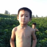 老李喝不了头像
