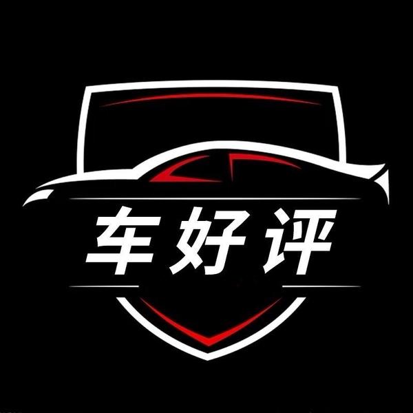 车好评007头像