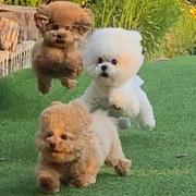 Recal的个人资料头像