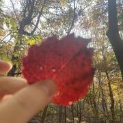 随心865的个人资料头像