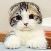 一个非常长的名字容易让别人记住的个人资料头像