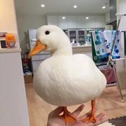 用户380278803796的个人资料头像
