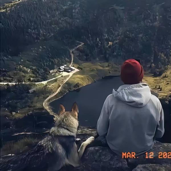 苦茶子说说头像