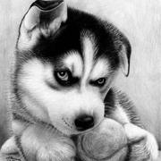 其仪一兮的个人资料头像