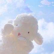 Rua的个人资料头像