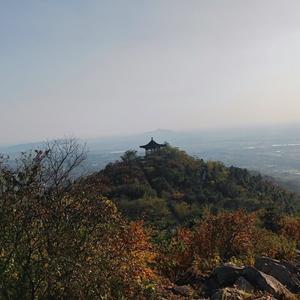会飞的鱼665头像