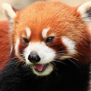 用户3310911112388头像