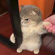 东东9357的个人资料头像