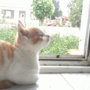 吃饭967的个人资料头像