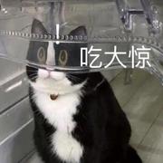 Patrixkw的个人资料头像