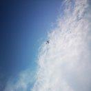 一只大富的个人资料头像