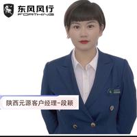 陕西元源东风风行段颖头像