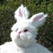 单行的个人资料头像