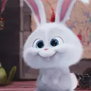 神奇的章小鱼的个人资料头像