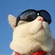 Rob48881的个人资料头像