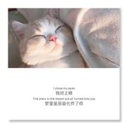 凌云漫步的个人资料头像