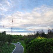 阳光和煦的个人资料头像