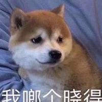 啊哈9524头像