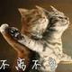 HZW7 · 锐际车主·车龄5年头像