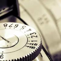 深山里的韭菜头像