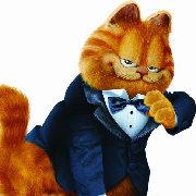 Allwyn的个人资料头像