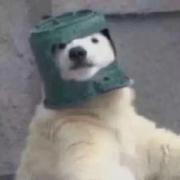 孟秋初上浣的个人资料头像