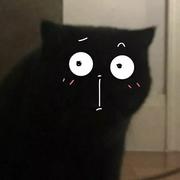 Sept385的个人资料头像