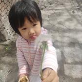 小小小的太阳花111头像