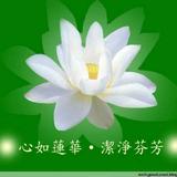 元亨利贞5552头像