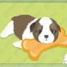 Qian在掘金的个人资料头像