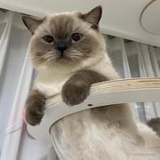 LRWen的个人资料头像