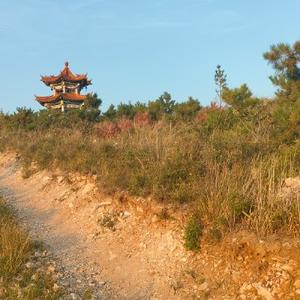 热闹饺子So头像