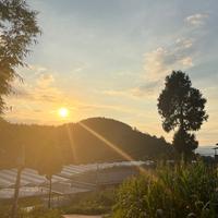 顽童看篮球头像