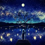 舒十七的个人资料头像