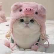 Fortuitous的个人资料头像